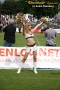 Thumbs/tn_IMG_9948.jpg