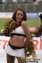 Thumbs/tn_JMG_0249.jpg