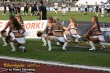 Thumbs/tn_JMG_0465.jpg