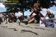 Thumbs/tn_IMG_4733.jpg