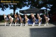 Thumbs/tn_IMG_0733.jpg