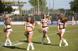 Thumbs/tn_IMG_1009.jpg