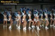 Thumbs/tn_IMG_2333.jpg
