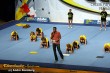 Thumbs/tn_IMG_2908.jpg