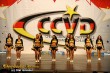 Thumbs/tn_IMG_9277.jpg