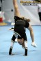 Thumbs/tn_IMG_0348.jpg