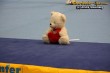 Thumbs/tn_IMG_1095.jpg