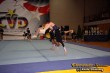 Thumbs/tn_IMG_1905.jpg