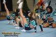 Thumbs/tn_IMG_2024.jpg