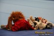 Thumbs/tn_IMG_7485.jpg
