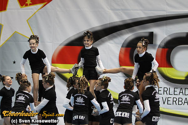 ../Images/Bamberg_Gold_Crush_PeeWee_041.jpg
