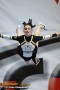 Thumbs/tn_Black_Paws_007.jpg