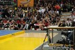 Thumbs/tn_IMG_2768.jpg