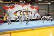 Thumbs/tn_IMG_3499.jpg