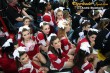 Thumbs/tn_IMG_8399.jpg