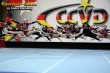 Thumbs/tn_JMG_0211.jpg