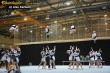 Thumbs/tn_IMG_3117.jpg