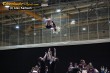 Thumbs/tn_IMG_3290.jpg