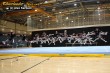 Thumbs/tn_IMG_3305.jpg