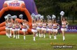 Thumbs/tn_DSC_6009.jpg