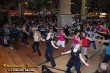 Thumbs/tn_JDSC_6333.jpg