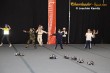 Thumbs/tn_IMG_3568.jpg