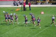 Thumbs/tn_100_2721.jpg
