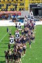 Thumbs/tn_100_2728.jpg