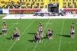 Thumbs/tn_100_2743.jpg
