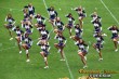 Thumbs/tn_100_2775.jpg