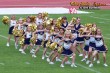 Thumbs/tn_100_2795.jpg