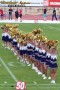 Thumbs/tn_100_2799.jpg