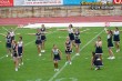 Thumbs/tn_100_2804.jpg