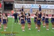 Thumbs/tn_100_2933.jpg