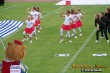 Thumbs/tn_100_3055.jpg