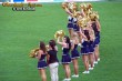 Thumbs/tn_100_3164.jpg