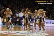 Thumbs/tn_IMG_9750.jpg