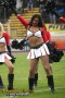 Thumbs/tn_IMG_4286.jpg