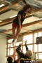 Thumbs/tn_IMG_8592.jpg