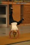 Thumbs/tn_IMG_8753.jpg