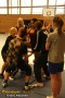 Thumbs/tn_IMG_8975.jpg