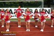 Thumbs/tn_IMG_9012.jpg
