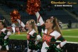 Thumbs/tn_IMG_5879.jpg