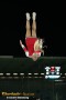 Thumbs/tn_IMG_5962.jpg
