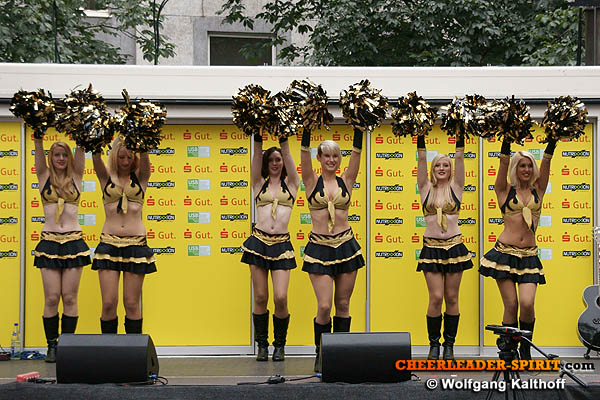../Images/goldfire-wk_001.JPG