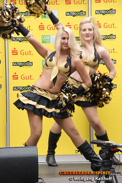 ../Images/goldfire-wk_130.JPG