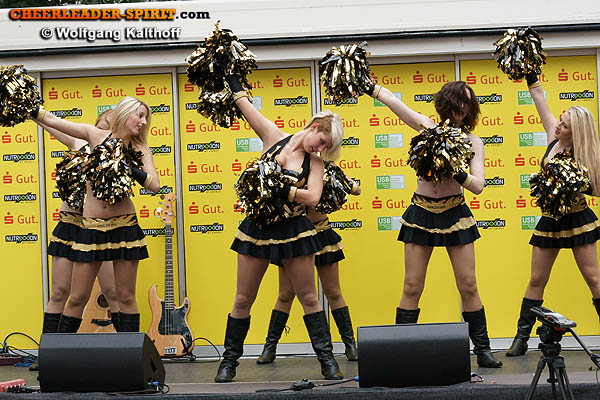 ../Images/goldfire-wk_312.JPG
