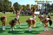 Thumbs/tn_IMG_1667.jpg