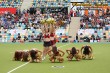 Thumbs/tn_HMG_9467.jpg