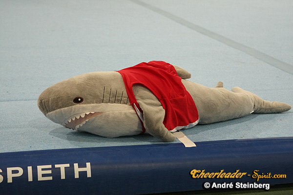../Images/2011-03-12-15-06-50_IMG_2538.jpg